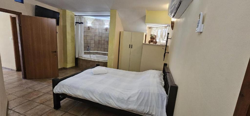 דביר סוויטות: ג'קוזי כפרי ליד הכנרת Villa Migdal Room photo